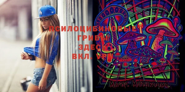 мет Елабуга