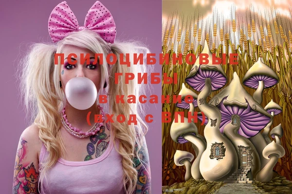 spice Няндома