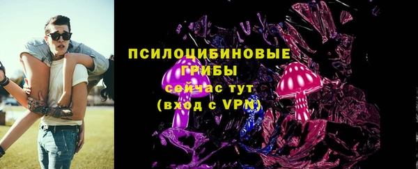 соль ск Нязепетровск