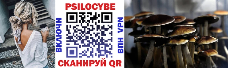 Псилоцибиновые грибы прущие грибы Котельнич